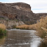 A river with bluffs in the background.