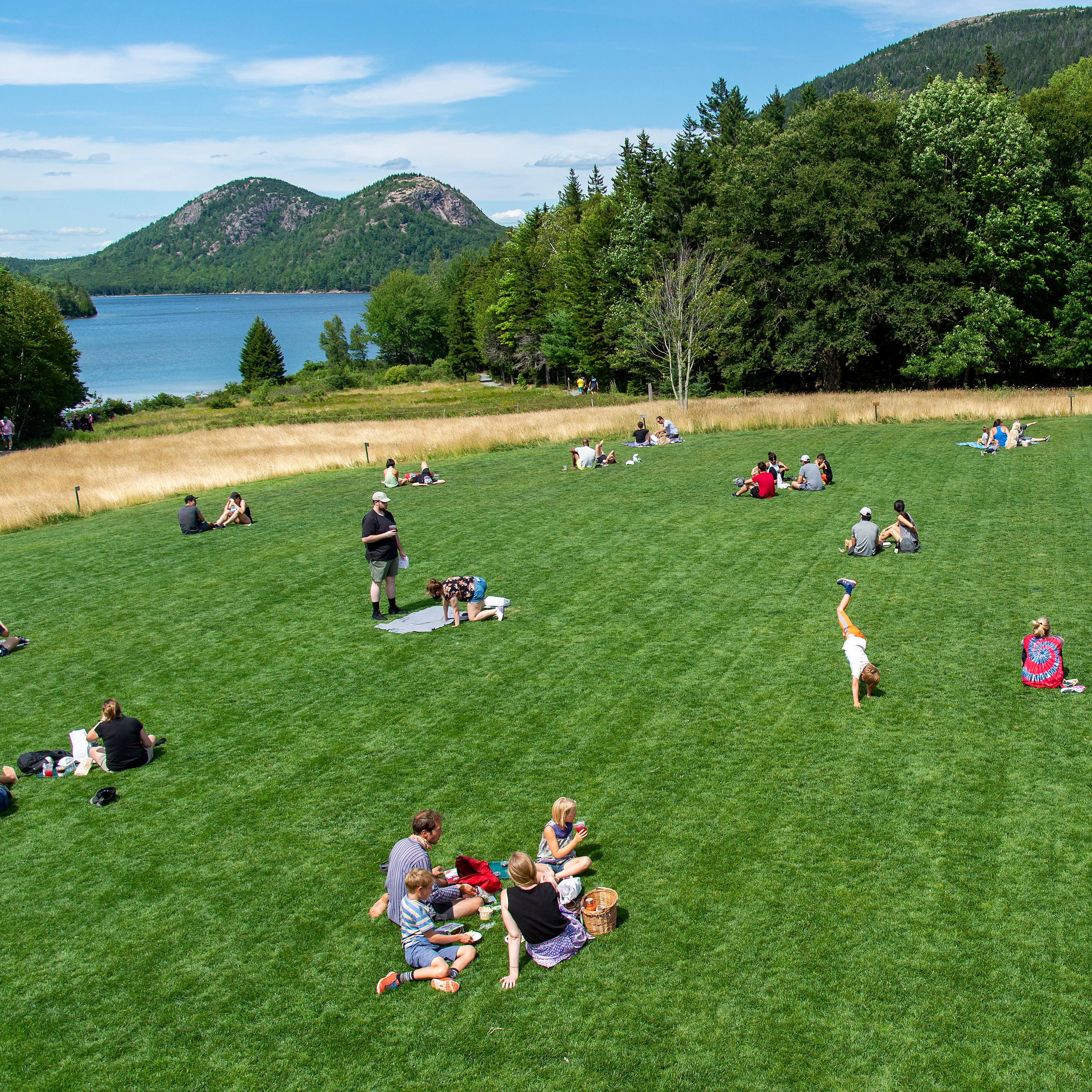 Groups of people sit on a mowed lawn in front of a lake and distant mountains