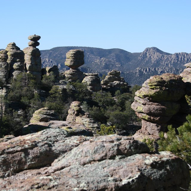 Many tall rock spires of various shapes in front of valley with more rocks, mountains, & blue sky