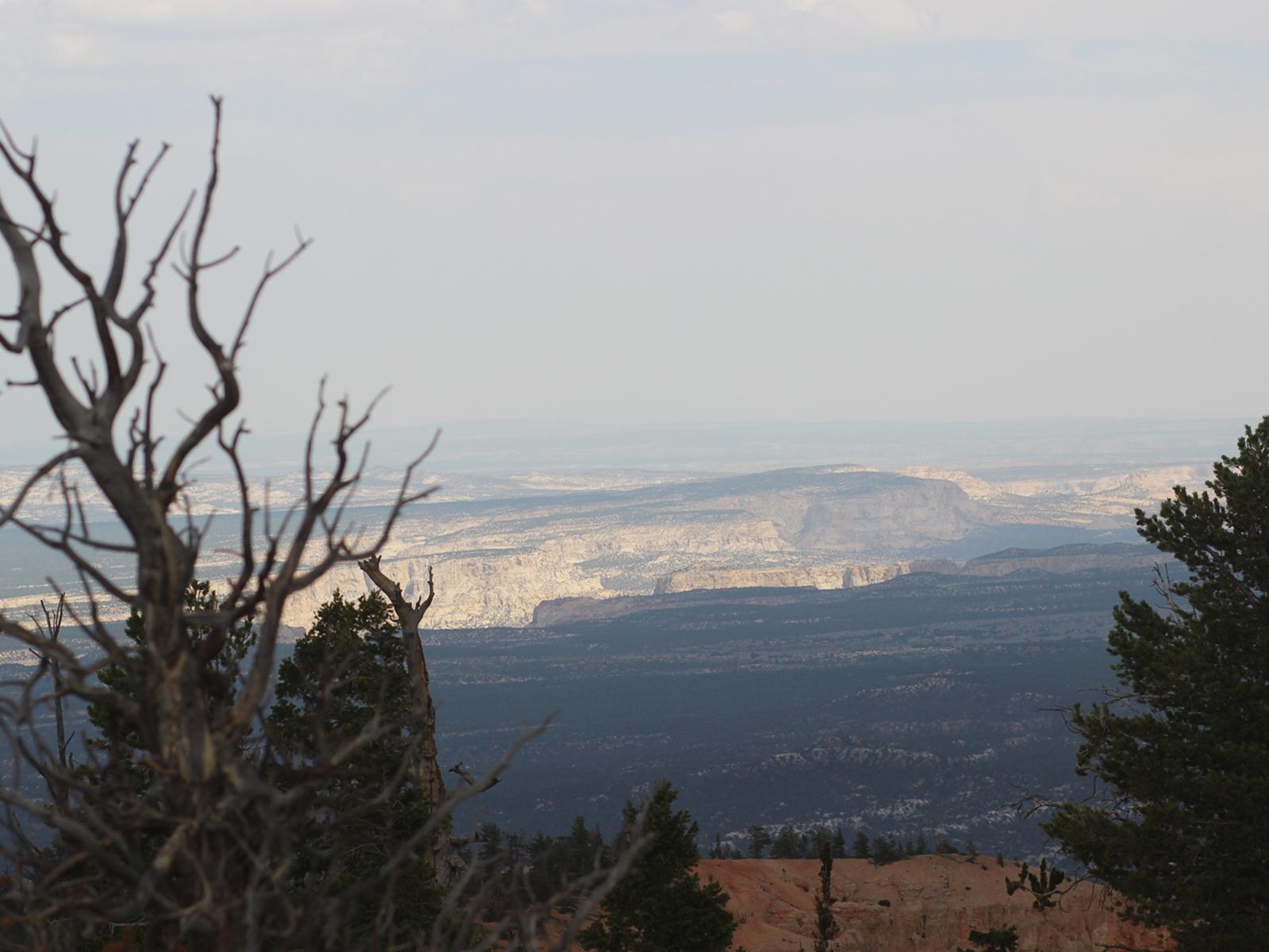 Current Conditions Bryce Canyon National Park (U.S. National Park