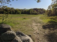 An open grassy meadow with a low stone wall running along the edge.