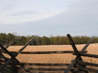 A snake rail fence stands in front of a field of tall brown grass.