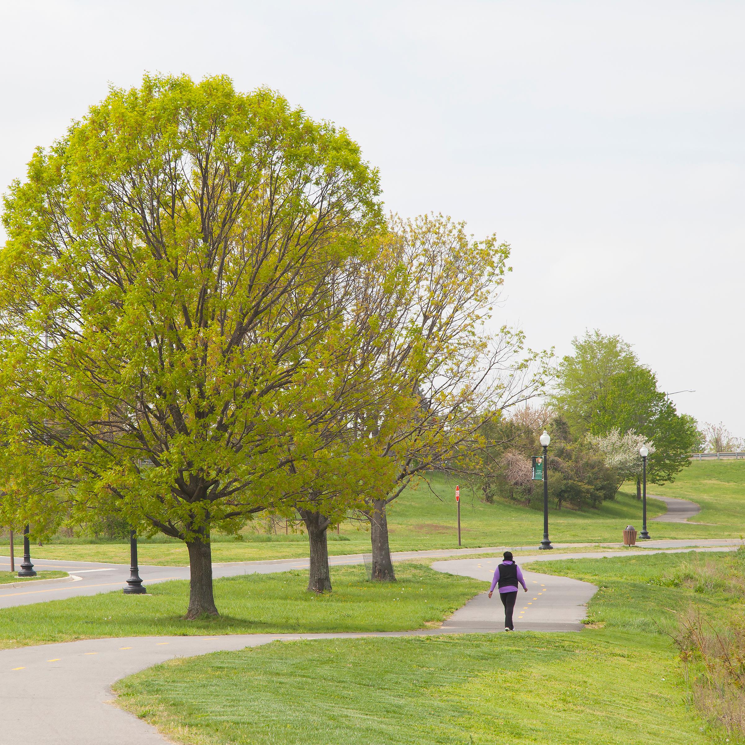The winding riverwalk trail stretches along the Anacostia River and is a great place to picnic.