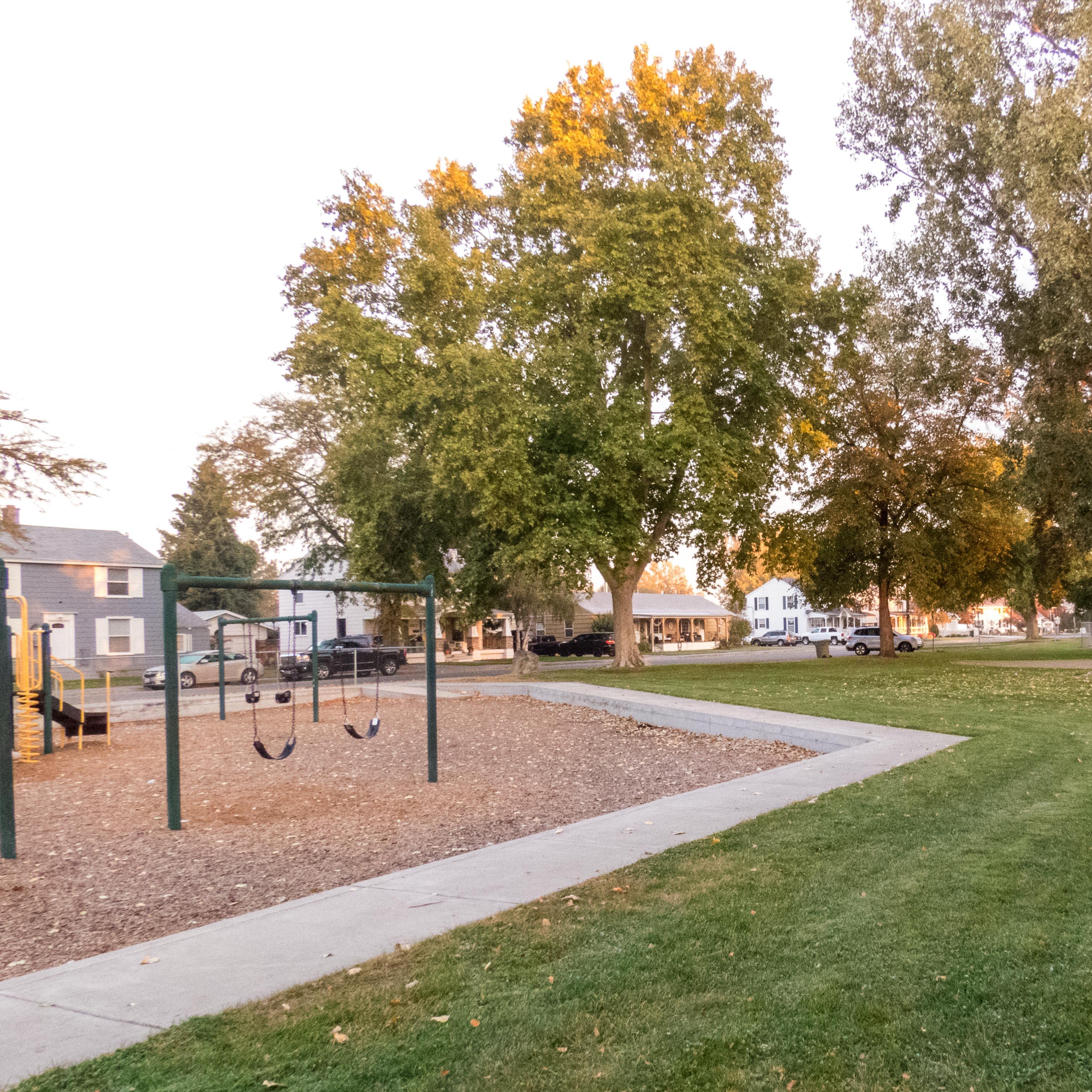Color photograph of a green space with large trees in the background and a playground.