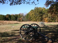 Two green colored cannons in a field bordered in the distance by woods.