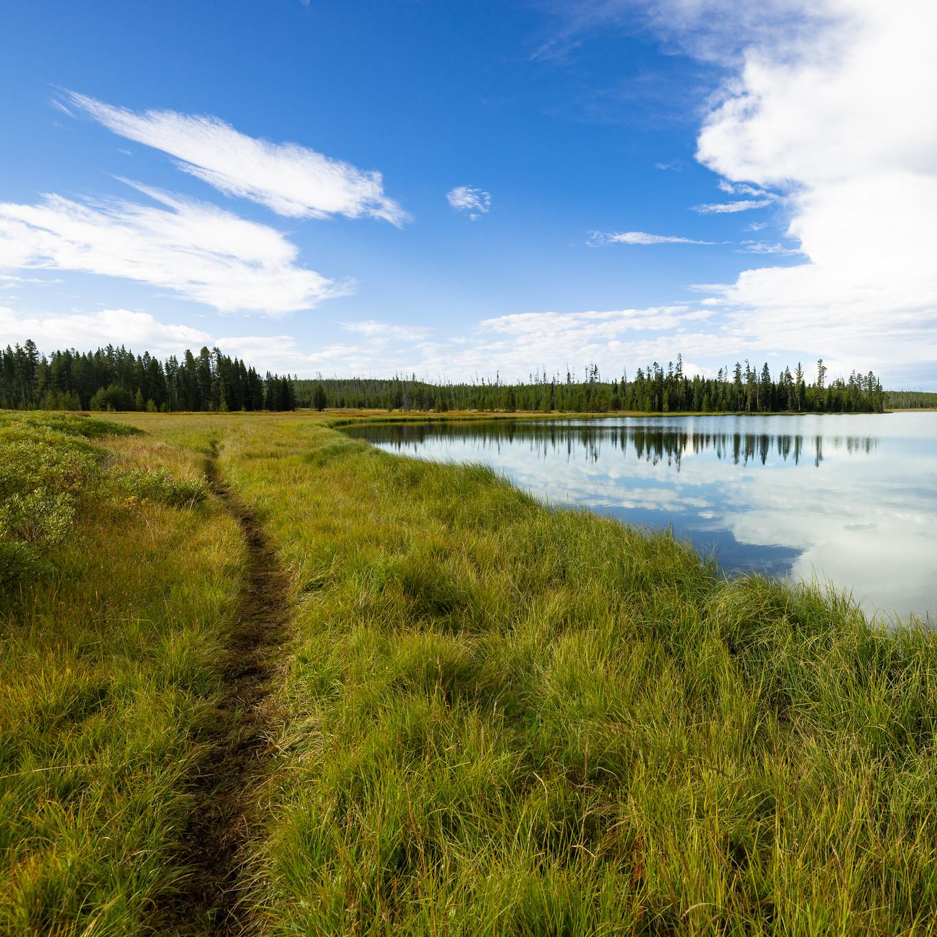 A trail runs through the grass alongside a lake.