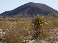Color image of Mojave National Preserve