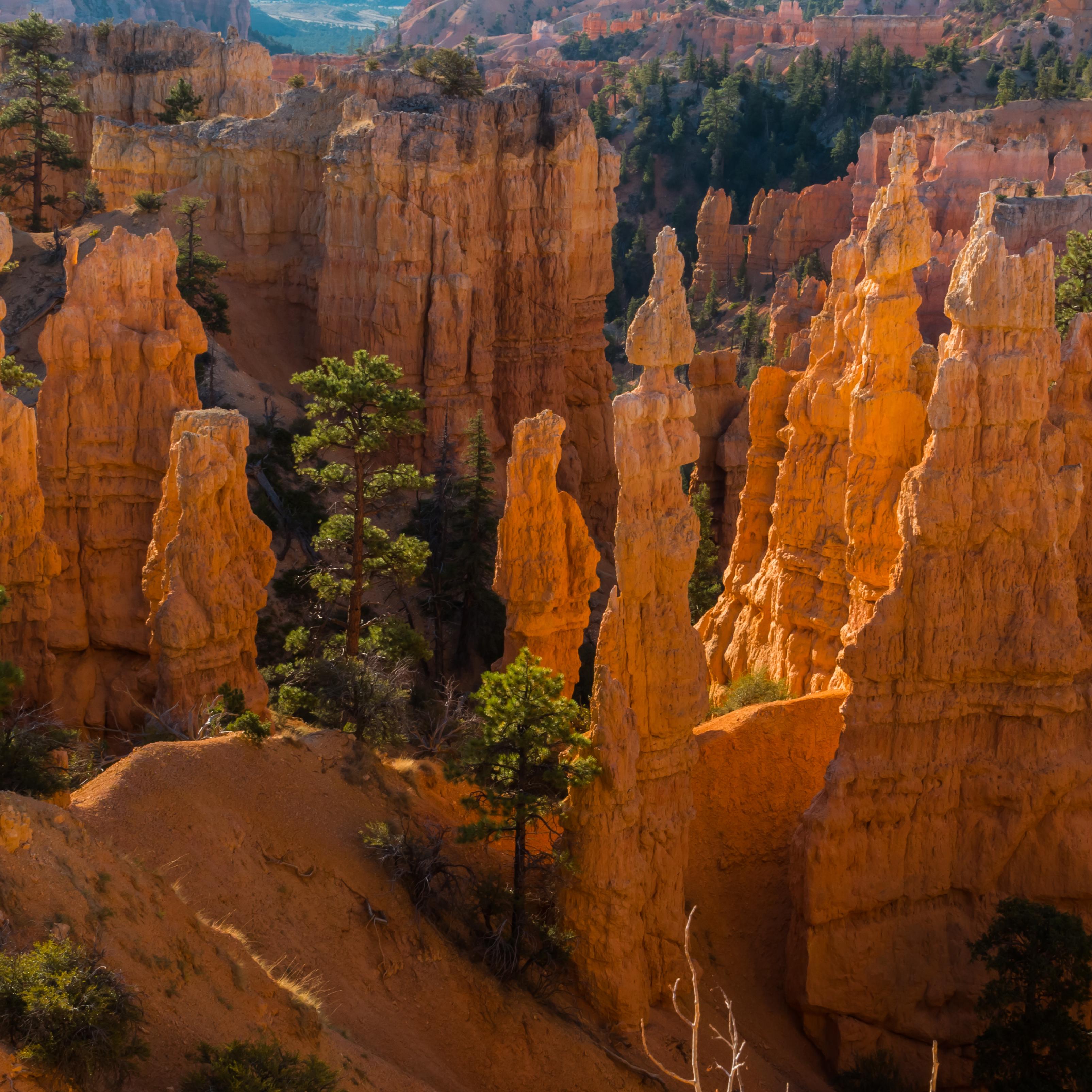 An overhead photo of red rock formations that appear to be glowing in the sun