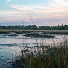 pink in the sun rise over mudflats and marsh
