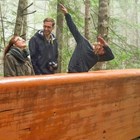 Trip Ideas for Half a Day at Redwood