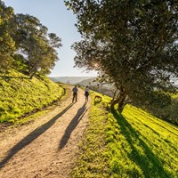 Loop Around to the East Bay via Expedition Camp #97