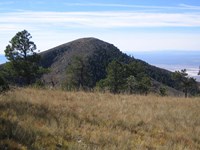 A distant summit rises beyond a grassy mountains slope with pine trees.