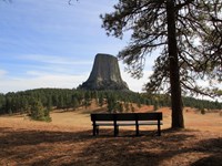 a bench in the shade of a pine tree looking out over prairie and Devils Tower