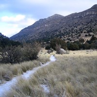 A gravel trail  cuts through a grassy meadow with a tall desert mountain cliff rising behind.