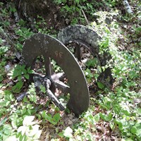 A lichen covered rusting wheel from the mining era lies in the brush on Little America Island
