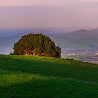 Green hill with a landscape view