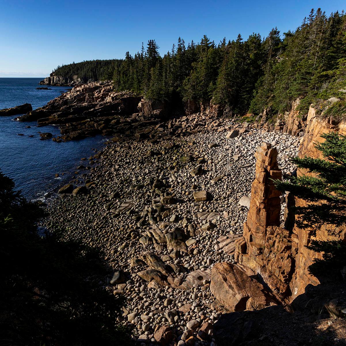 A rocky ocean seashore with trees and cliffs in the background.