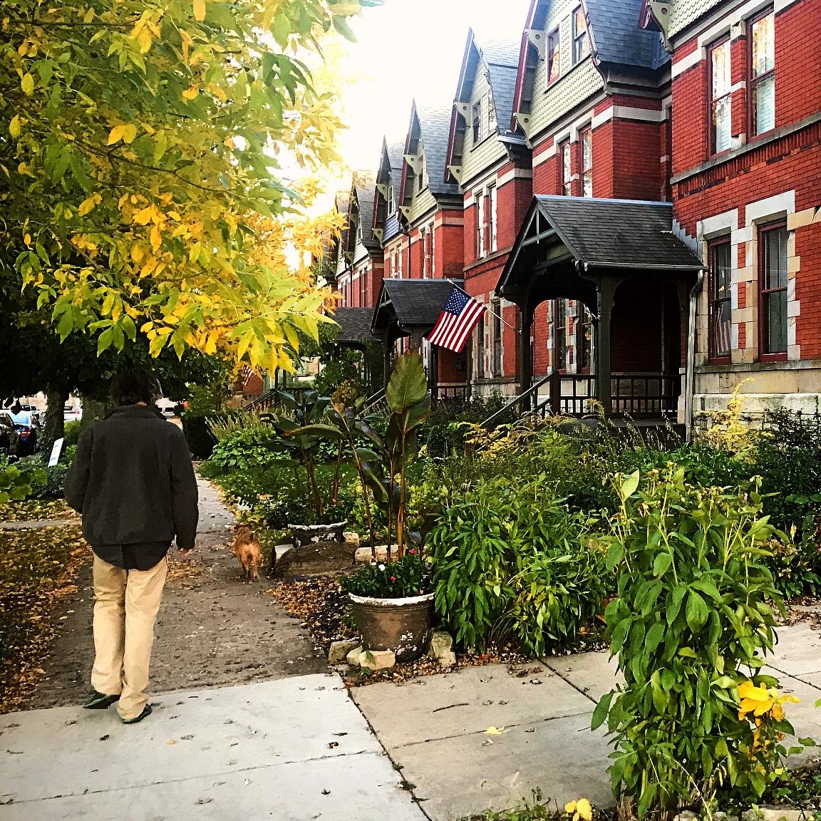 A visitor and his dog on a Pullman street with rowhomes on the right of the frame