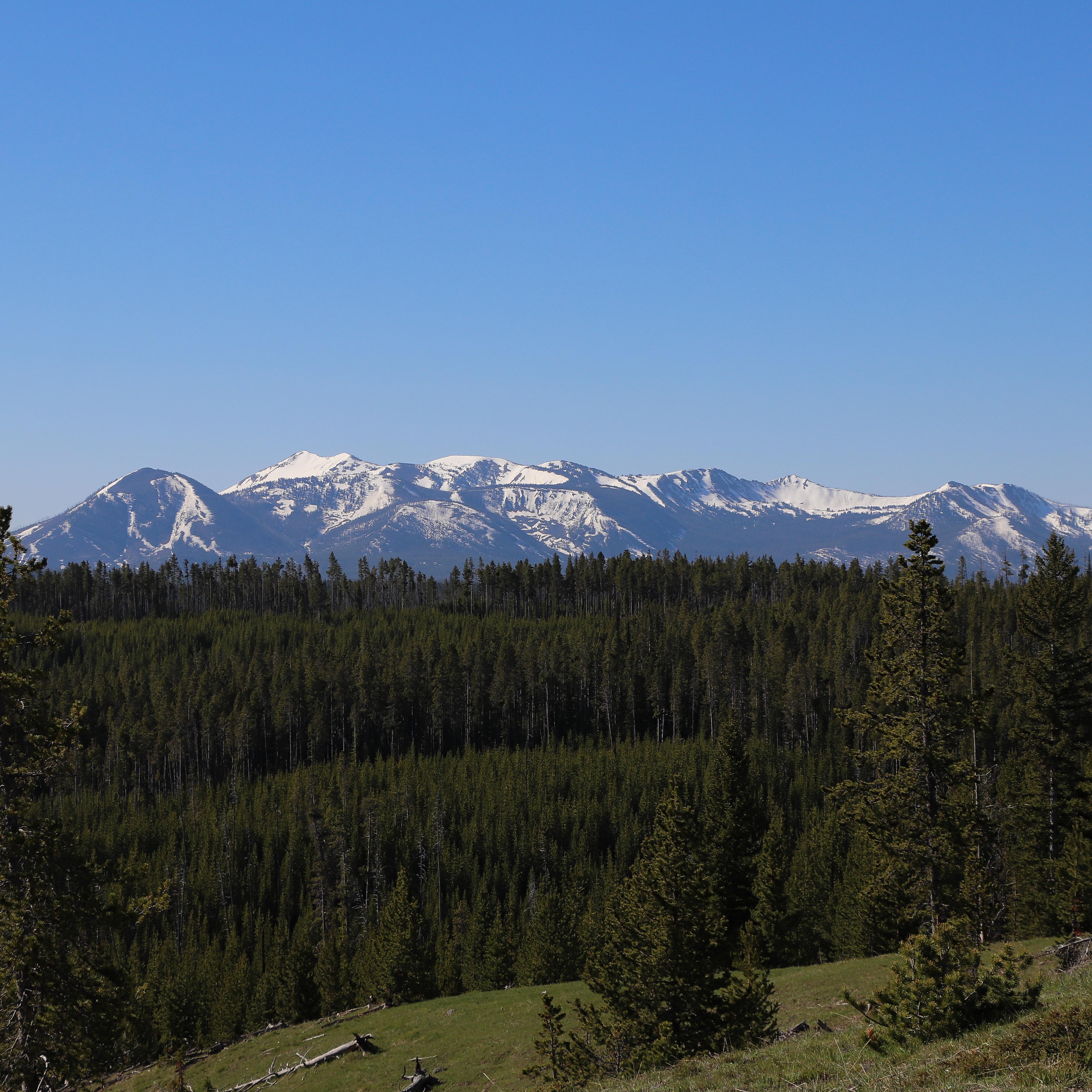 A broad mountain rises above a forested slope.