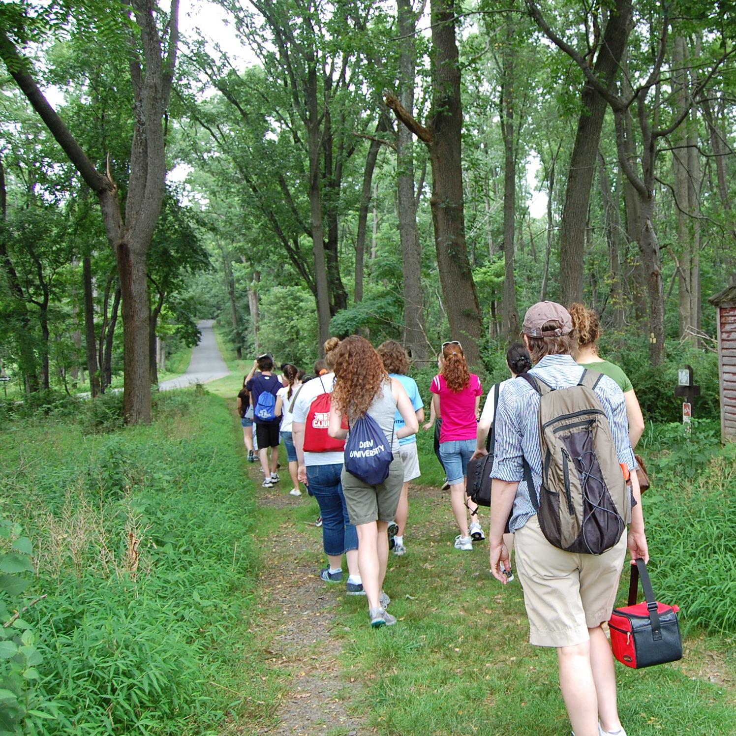 Image of hikers on a hiking trail