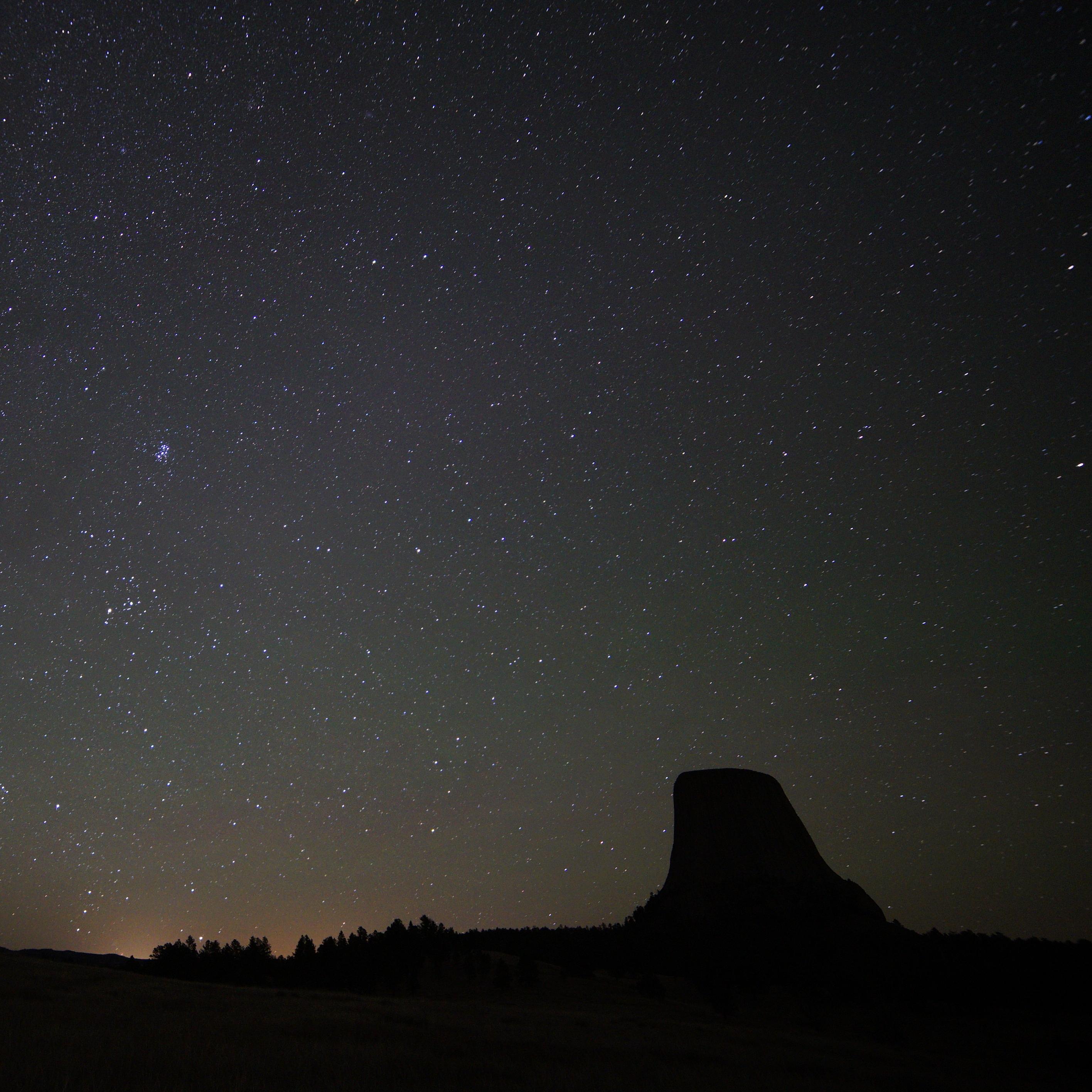 a dark night sky filled with stars with Devils Tower and trees silhouetted below