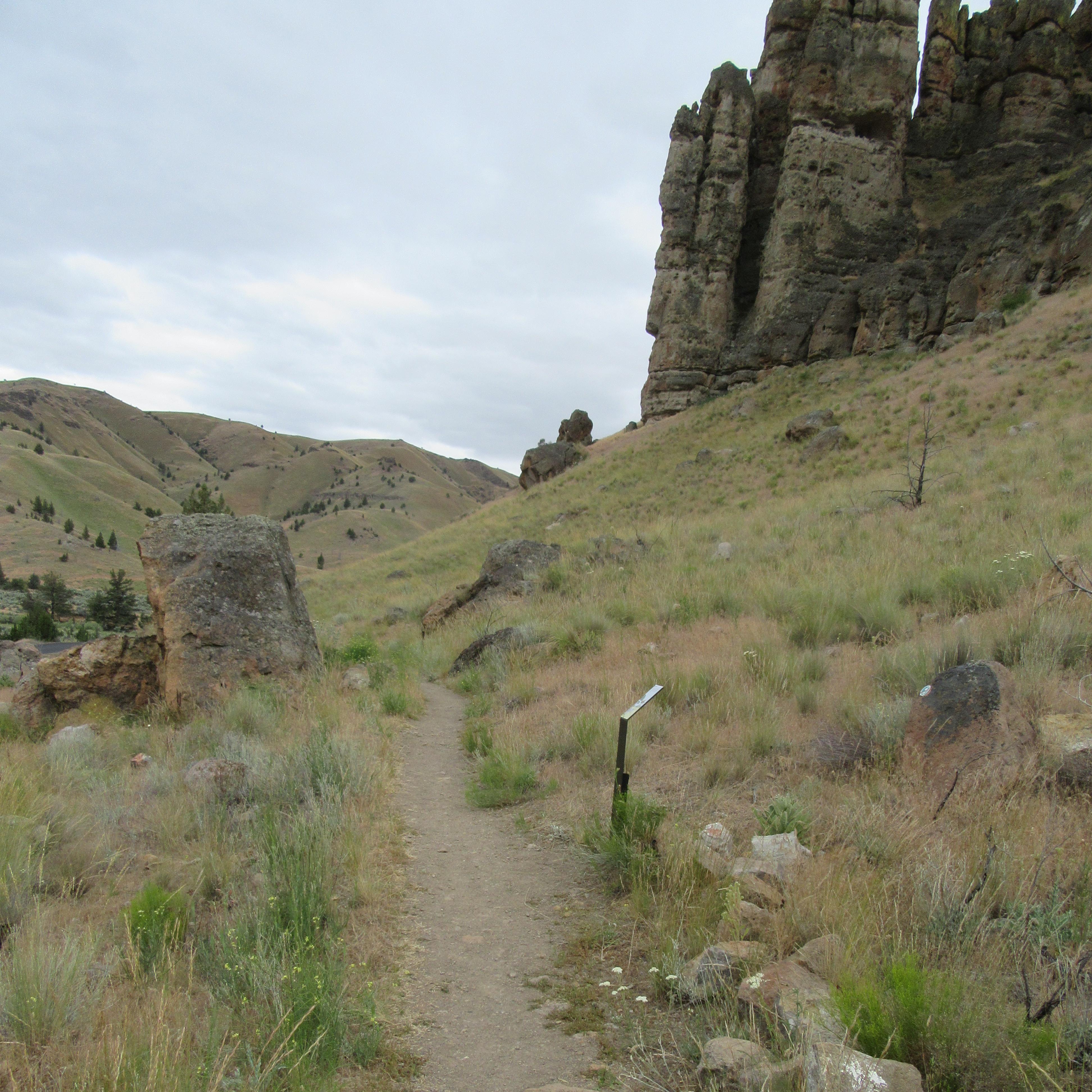 A gravel path goes through grass and shrubs