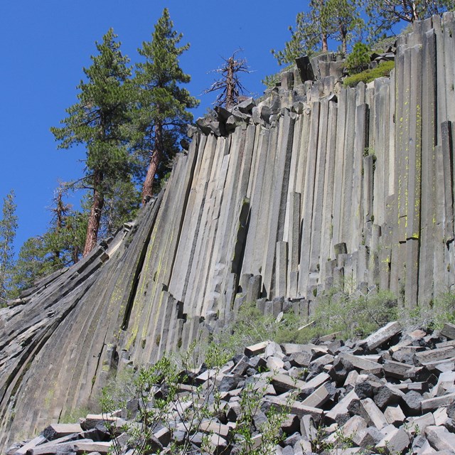 View of columnar basalt wall known as the Devils Postpile, with fallen, broken columns at base.