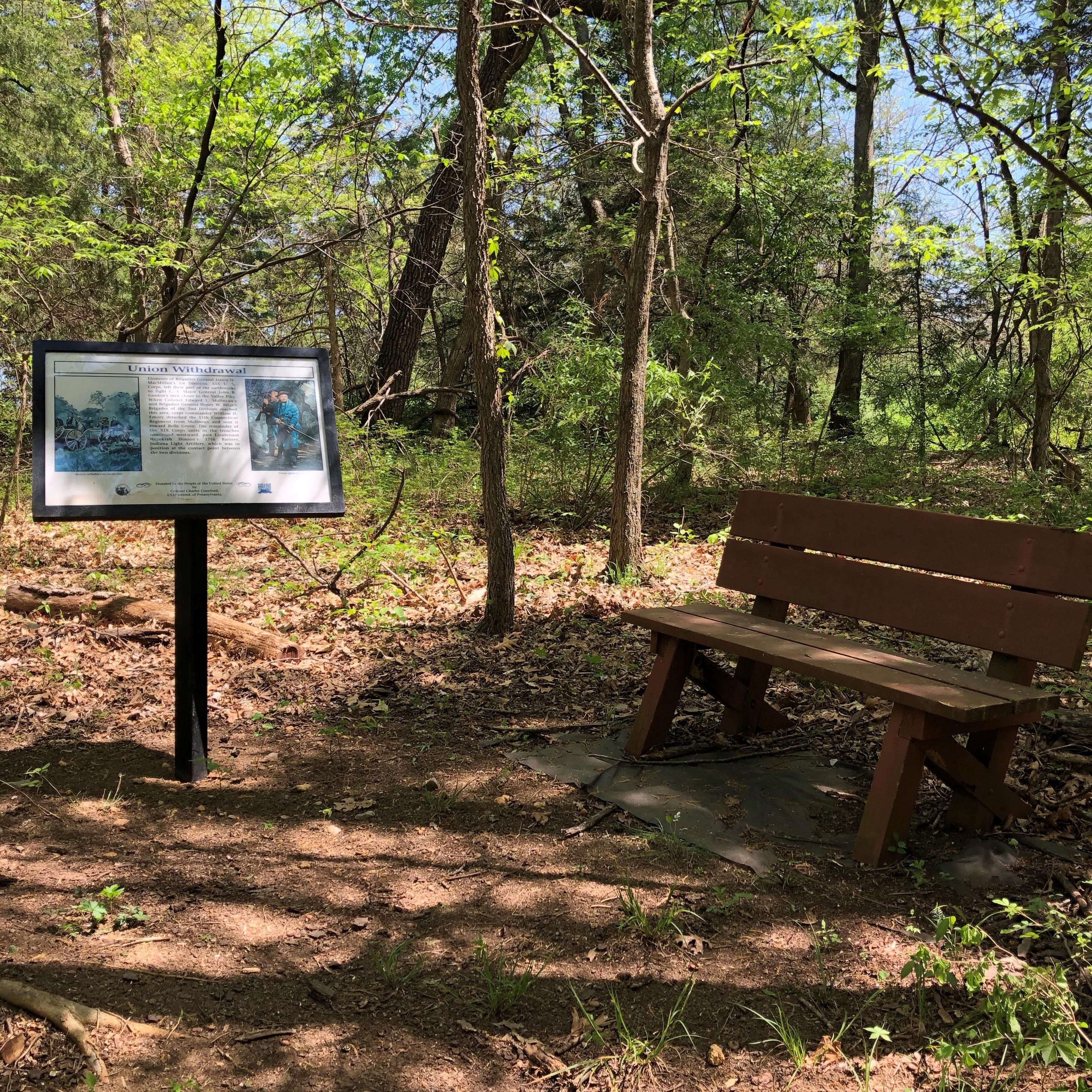 Sun shines through trees onto a trail exhibit sign and a bench.