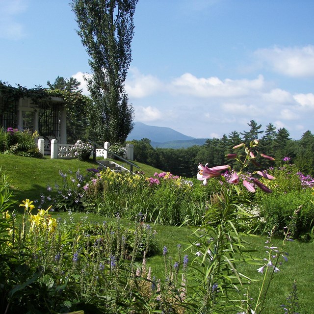 A pretty pink wildflower in front, cascading into a lush green garden with mountain views behind. 