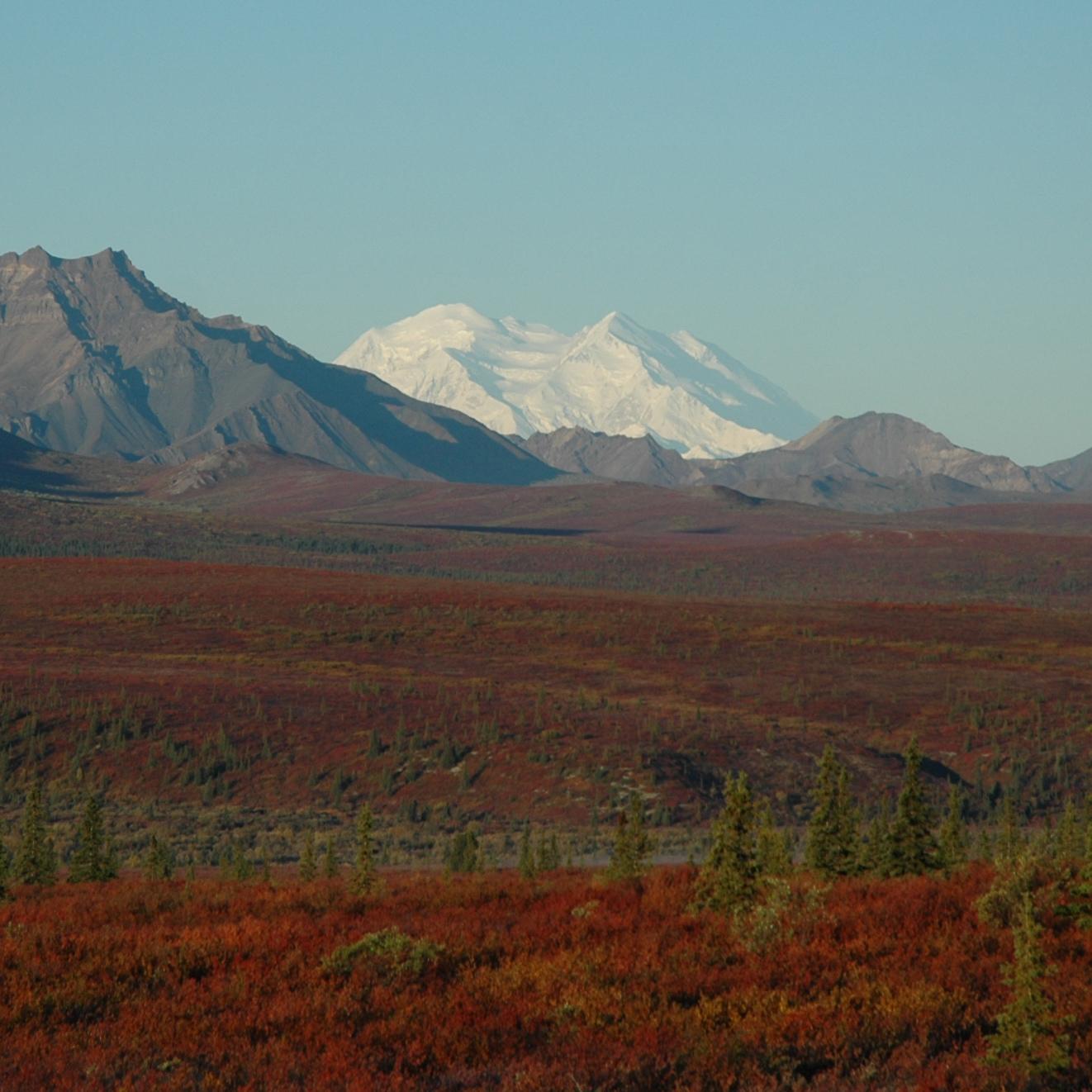 tree-less landscape leading up to brown mountains and a distant white mountain