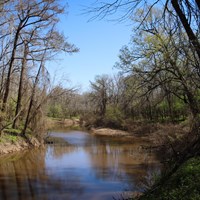 A wide, curving creek with trees and green shrubs lining its banks.