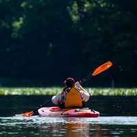 A person paddles an orange kayak on a river with trees in the background.