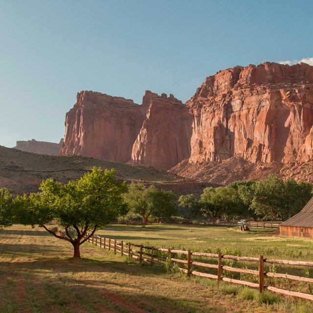 Sheer red cliffs rise behind an agricultural scene with a barn, wooden fencing, and orchard.