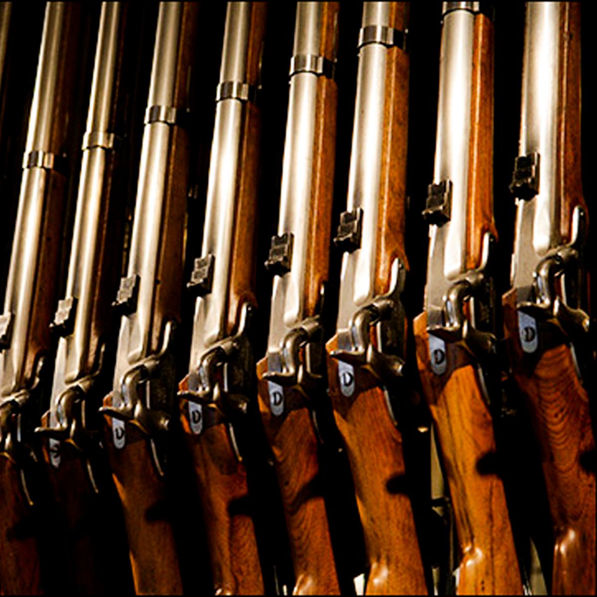 Historic rifles lined in a row
