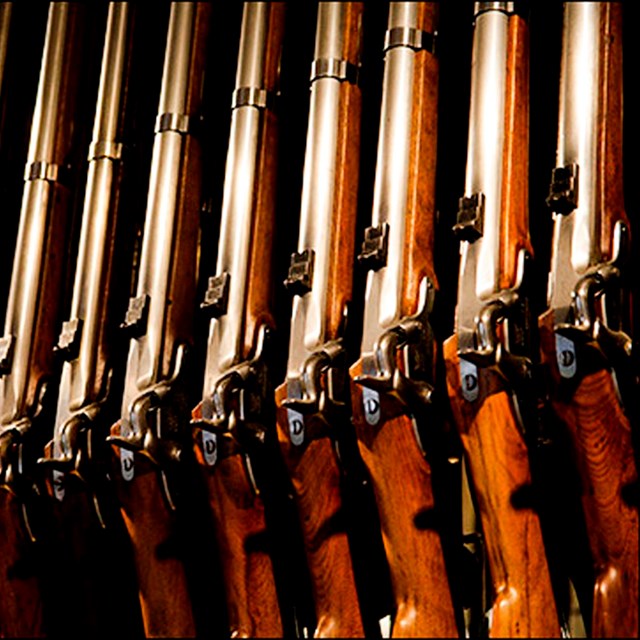 Historic rifles lined in a row