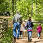 Four people walk tree and fence lined trail.