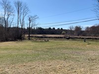 Grassy field with a road in the distance and a treeline beyond that.