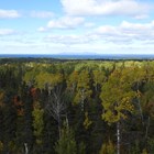 A forest at the beginning of autumn, Lake Superior, and the Canadian shoreline. 
