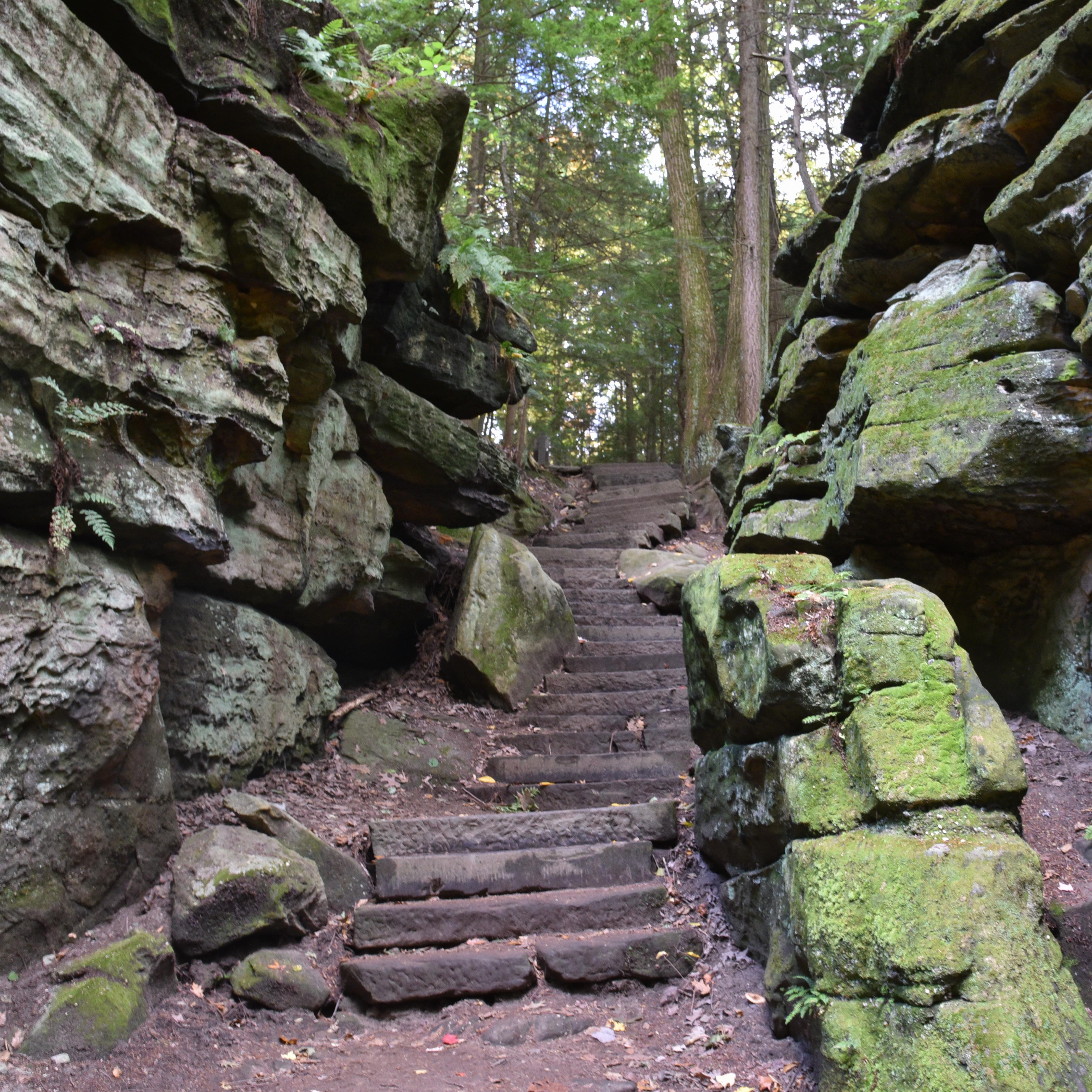 Staircase of rough-hewn gray stones winds between two walls of green moss-covered rock, up to trees.