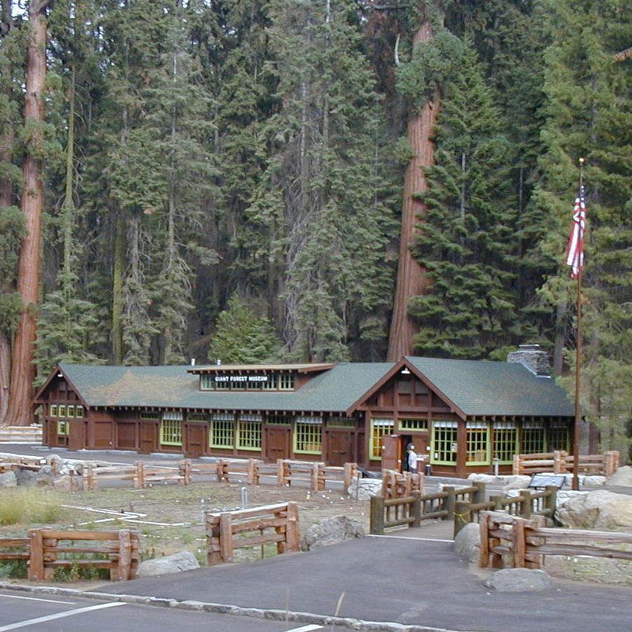 Giant Forest Museum