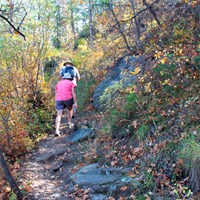 Oak Flat Trail 