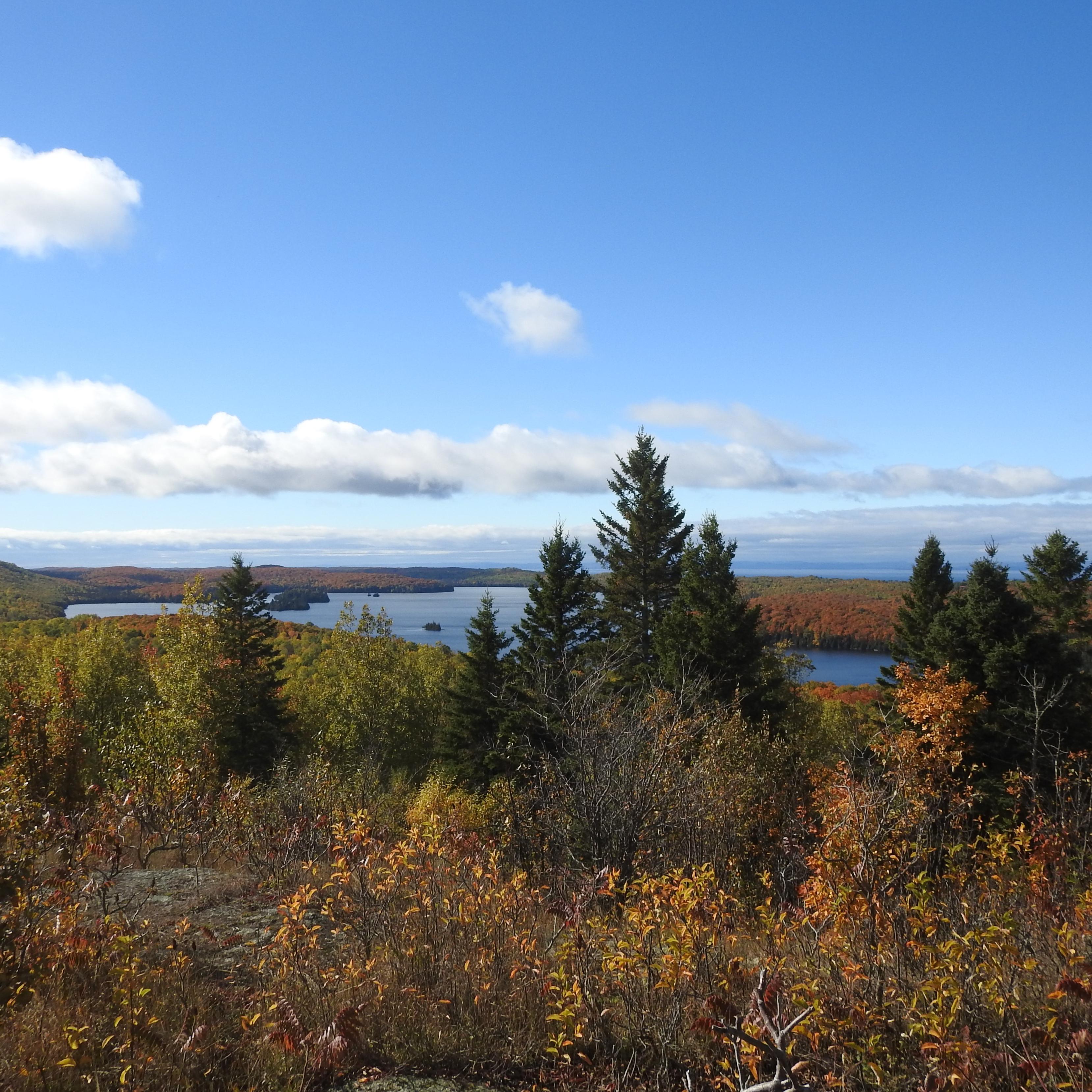View of interior lake surrounded by forest on an island in a lake. 