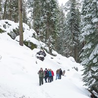 A ranger leads a tour through the snow