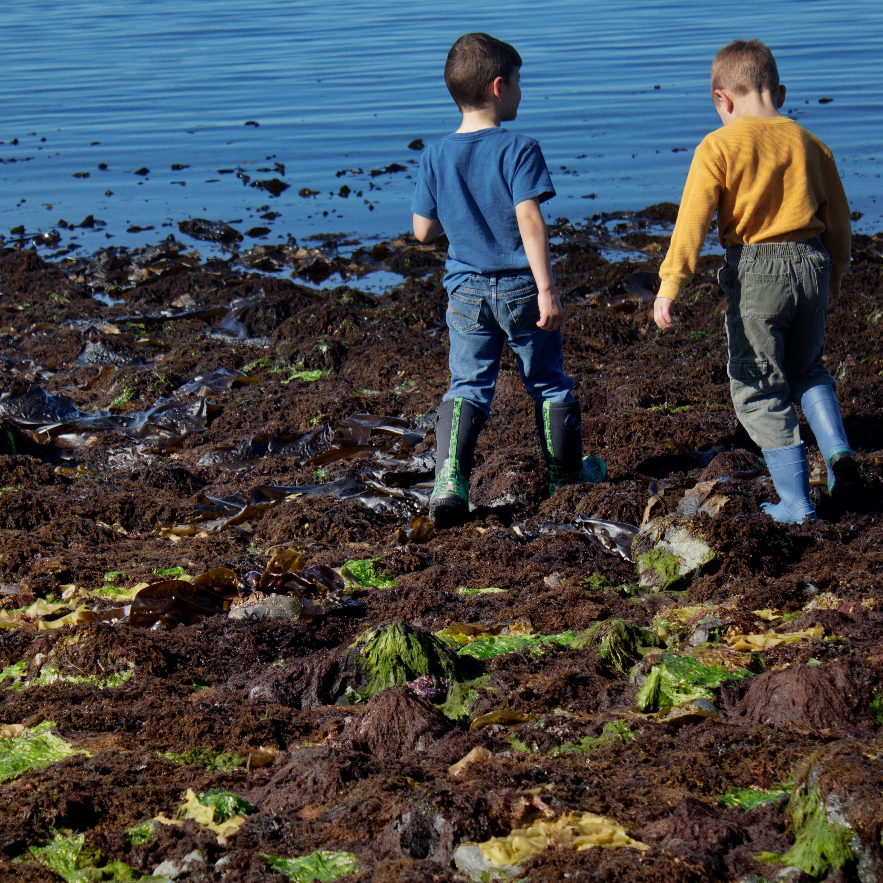 Two young boys walking over a tidal flat at low tide