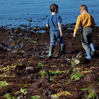 Two young boys walking over a tidal flat at low tide