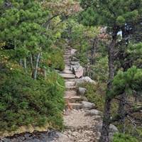 Hiking path with stone steps leading through wooded area