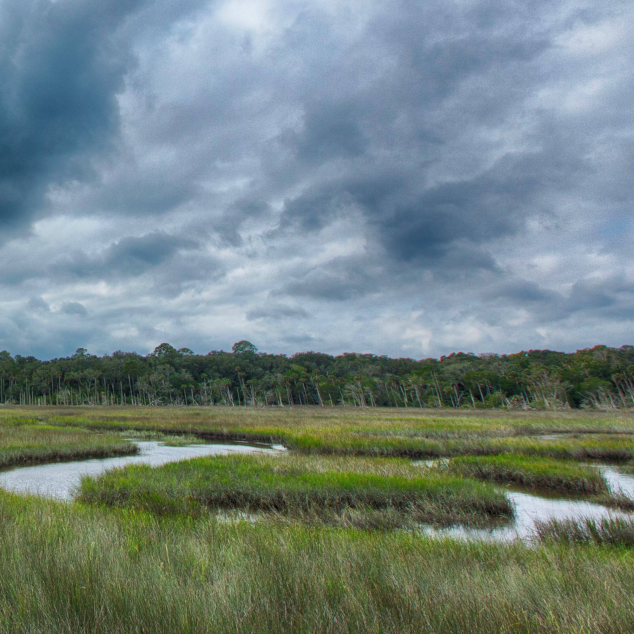 green marsh grasses swirl under a vibrant cloudy sky