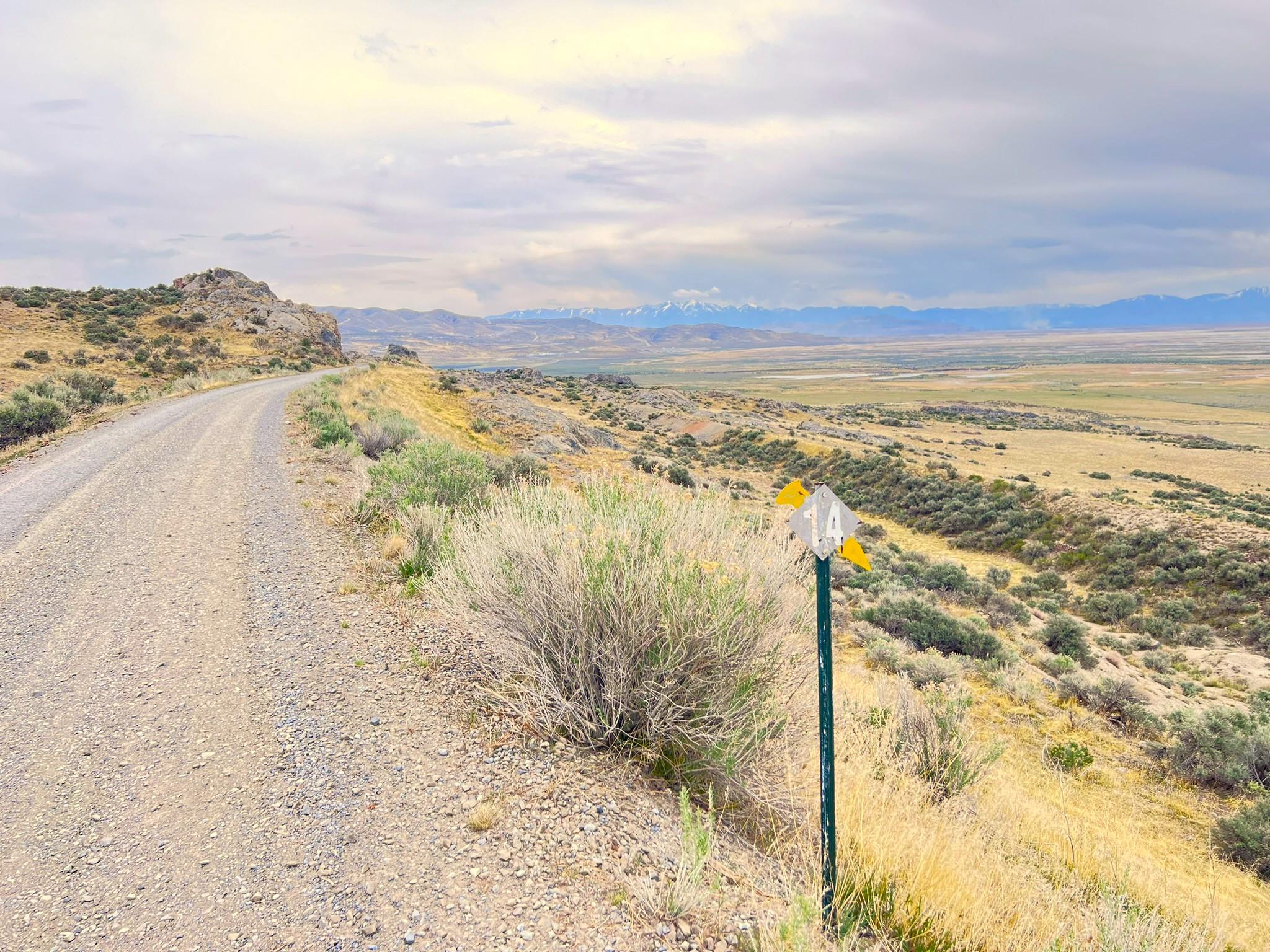 Gravel road among yellow and green sagebrush, views of vast valley mountains in distance