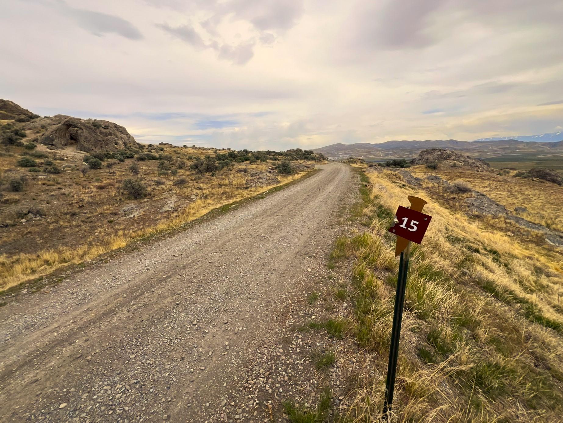 Gravel road among yellow and green sagebrush, views of vast valley mountains in distance