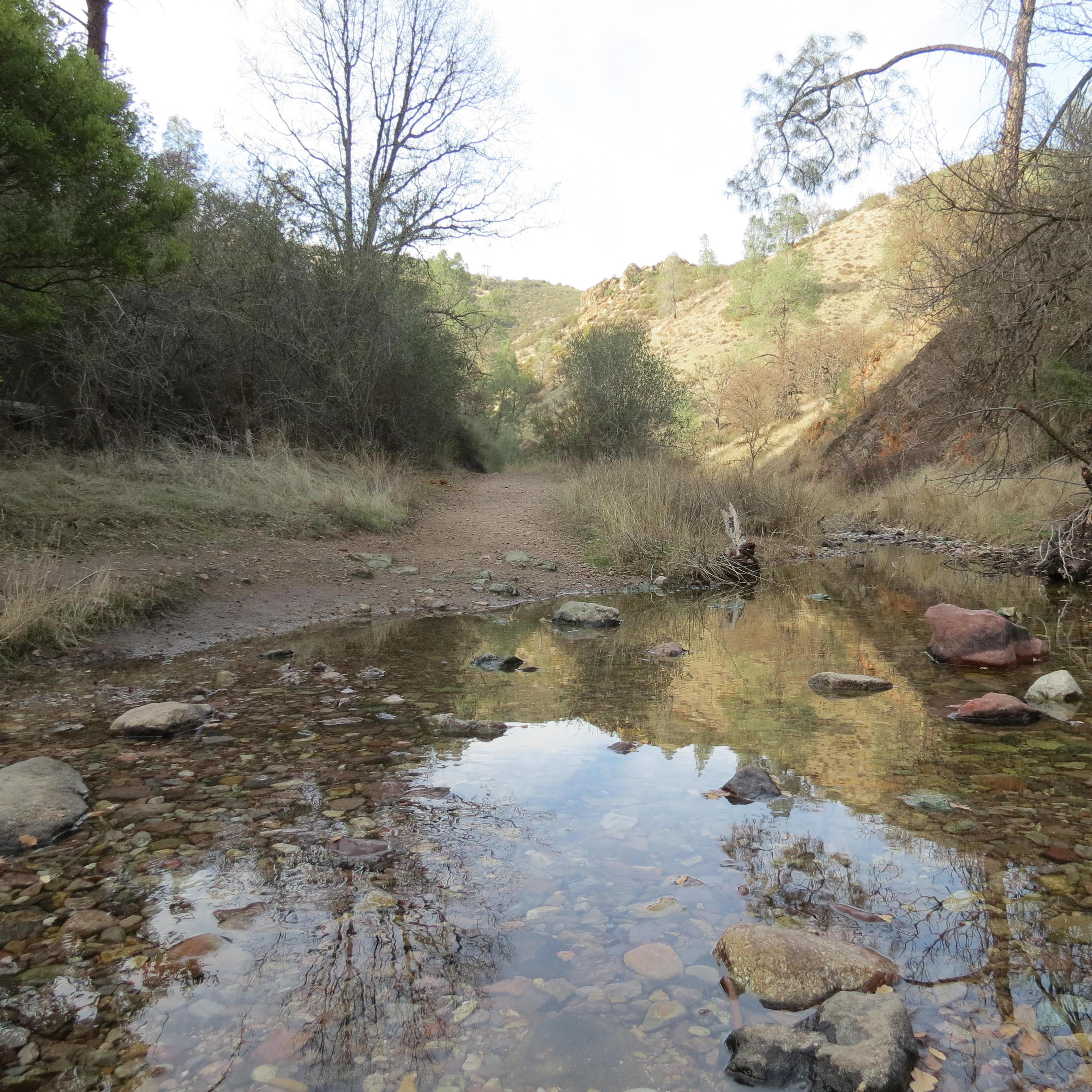 A shallow rocky creek crossing over a dirt trail